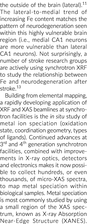 大脑的外(横向)11的lateral-to-medial趋势增加铁含量neu的模式匹配