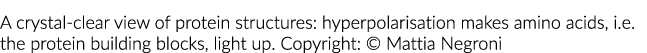 清澈的蛋白质结构:hyperpolarisation使氨基酸,李,我e蛋白构建块