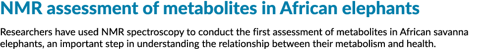 核磁共振评估非洲象代谢物的研究人员利用核磁共振光谱进行第一次评估半岛综合体育官方APP下载德甲