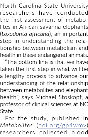 北卡罗莱纳州立大学的研究人员开展了第一次评估非洲稀树大草原避署的代谢物