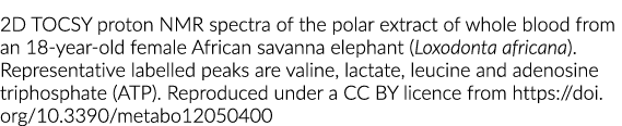 2 d TOCSY质子核磁共振光谱全血的极地提取从一个18岁的雌性非洲稀树大草原大象(