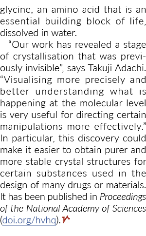 甘氨酸,氨基酸是生活的基本构建块,在水中溶解我们的工作揭示了鹿