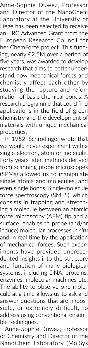 教授和主任创作Duwez NanoChem实验室的列日大学的选择