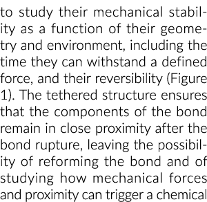 研究他们的机械稳定的函数几何和环境,包括时间他们可以