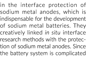 金属钠的接口保护阳极,金属钠糊的发展是必不可少的