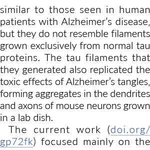 类似人类的年代老年痴呆症患者,但他们不像细丝exclusivel增长