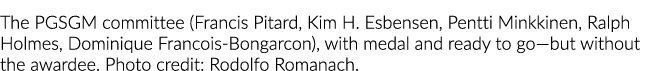 PGSGM委员会(Kim H Esbensen弗朗西斯•Pitard Pentti Minkkinen,拉尔夫·福尔摩斯,多米尼克•Francois-Bongarcon),