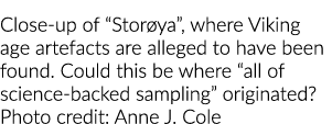 Storøya特写,维京时代文物被指可能发现这是所有科学的地方