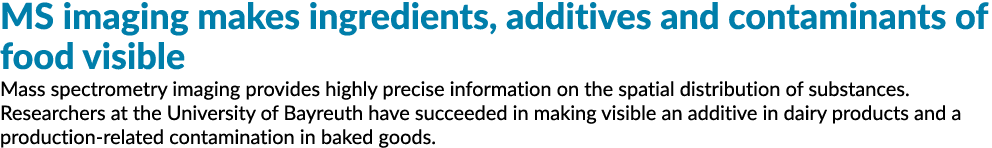 女士成像使原料,食品添加剂和污染物可见质谱影像提供了高度公关……