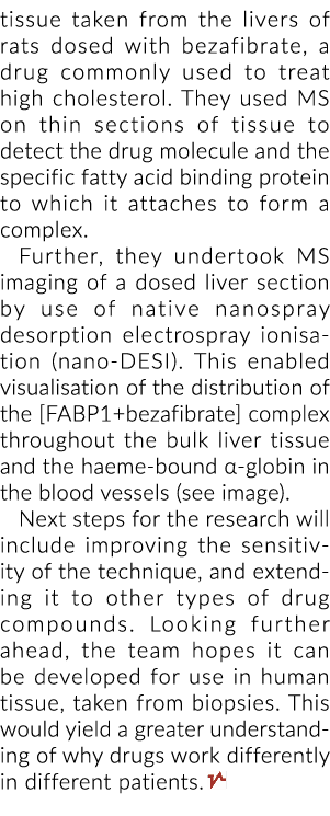 组织来自老鼠的肝脏与苯扎贝特前,通常用于治疗高胆固醇的药物。他们使用……