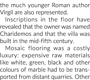 更年轻的罗马作家维吉尔也代表。铭文在地板上显示,老板……