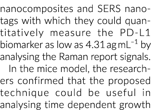 他们可以定量测量的纳米复合材料和ser nanotags PD-L1生物标志物低至4.31 m ag)……