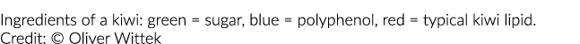 猕猴桃的成分:绿色=糖,蓝色=多酚,红色=典型猕猴桃脂质。信贷:©奥利弗Wittek