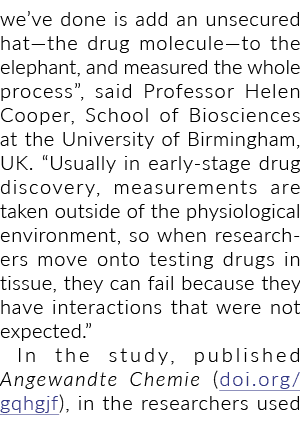 我们所做的就是添加一个无担保的药物分子大象,并测量整个过程”,教授说……