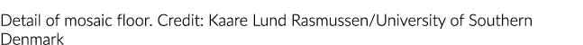 镶嵌地板的细节。信贷:Kaare隆德拉斯穆森/南丹麦大学