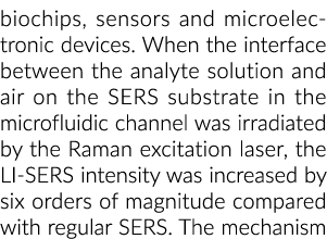 生物芯片、传感器和微电子设备。当分析物之间的接口解决方案和空气在ser苏……