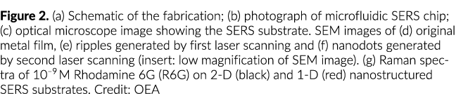 图2。(一)制造的示意图;(b)微流控芯片ser的照片;(c)光学显微镜图像sh……