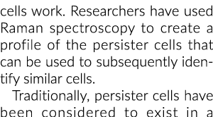 细胞的工作。研究人员用拉曼光谱来创建一个概要文件的持续程序细胞可用于半岛综合体育官方APP下载德甲年代……