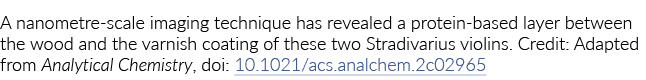 基于纳米尺度成像技术显示蛋白质层木头和清漆涂层之间的…