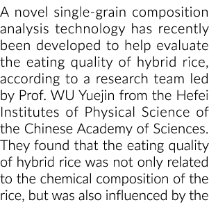 一种新颖的单粒成分分析技术最近被开发来帮助评估食用品质……