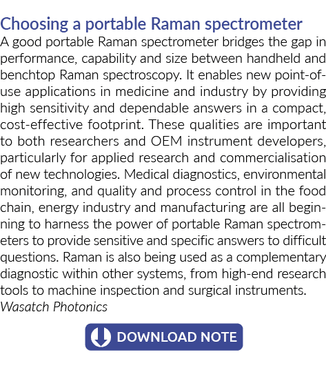 选择一个便携式拉曼光谱仪便携式拉曼光谱仪桥梁性能的差距,能力……