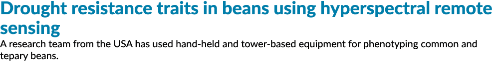 抗旱性状在bean使用高光谱遥感从美国一个研究小组利用手持式……