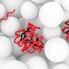 描述状态的蛋白质α-synuclein生活,健康细胞。信贷:菲利普Selenko